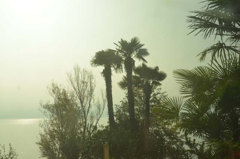 CH17-17-10-22-0009-GAB_7212