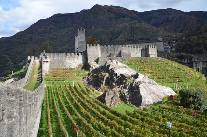 CH17-17-10-22-0101-GAB_7393