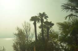 CH17-17-10-22-0009-GAB_7212