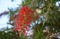 CH17-17-10-22-0061-GAB_7332