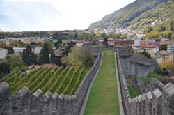 CH17-17-10-22-0095-GAB_7387