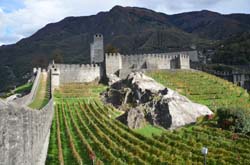 CH17-17-10-22-0101-GAB_7393